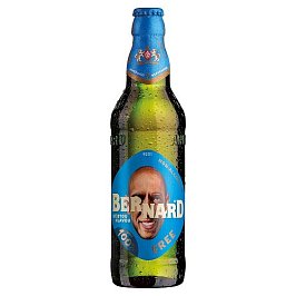 Bernard s čistou hlavou 