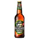 Radegast Ratar